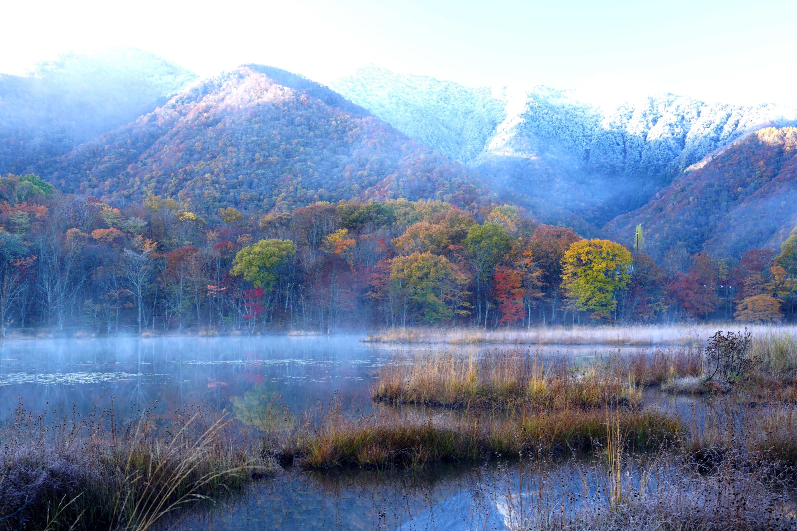 ギャラリーを更新しました